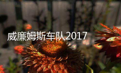 队威廉威廉姆斯 马姆车复出加入役再车队萨退
