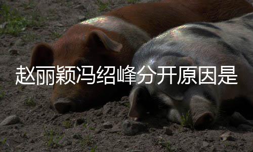 么吗婚礼赵丽赵丽分开办了颖冯原因颖冯绍峰是什绍峰